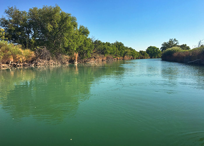 Share with Wildlife, New Mexico – Project Highlight: Tracking Turtle Survival