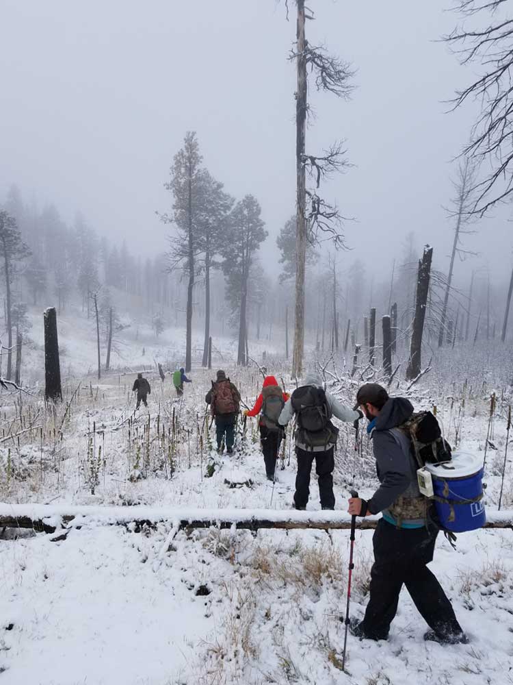 Rio Grande Cutthroat Trout loaded on backpacks destined for stocking in Rito de los Frijoles, Bandelier National Monument