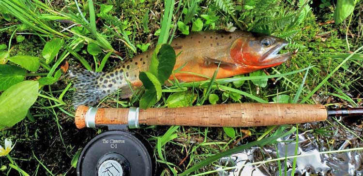 The Pecos Is Fishing Great  For Now - Trout Unlimited