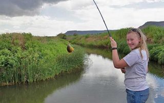 What do you do if you are not drawn in New Mexico’s Big Game Draw. You go fishing.