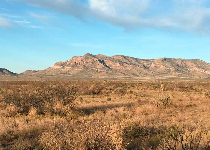 Tons of Diversity in the Bootheel - Project Highlight- Share with Wildlife, New Mexico Department of Game and Fish