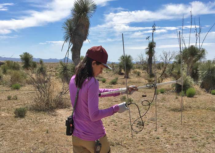 Tons of Diversity in the Bootheel - Project Highlight- Share with Wildlife, New Mexico Department of Game and Fish