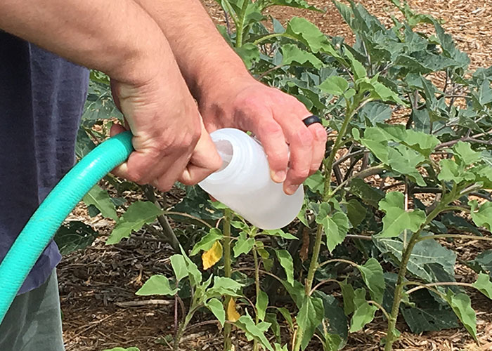 Can Restoration Work Spread Disease?- Project Highlight- Share with Wildlife, New Mexico Department of Game and Fish