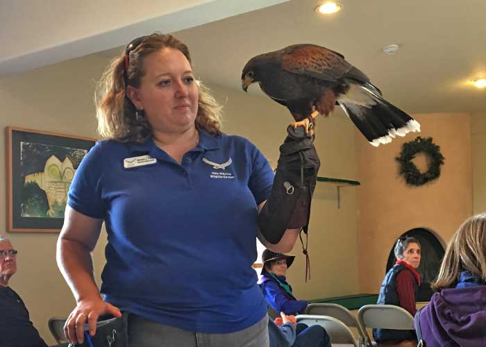 Wildlife Education and Rehabilitation, Project Highlight- Share with Wildlife, New Mexico Department of Game and Fish