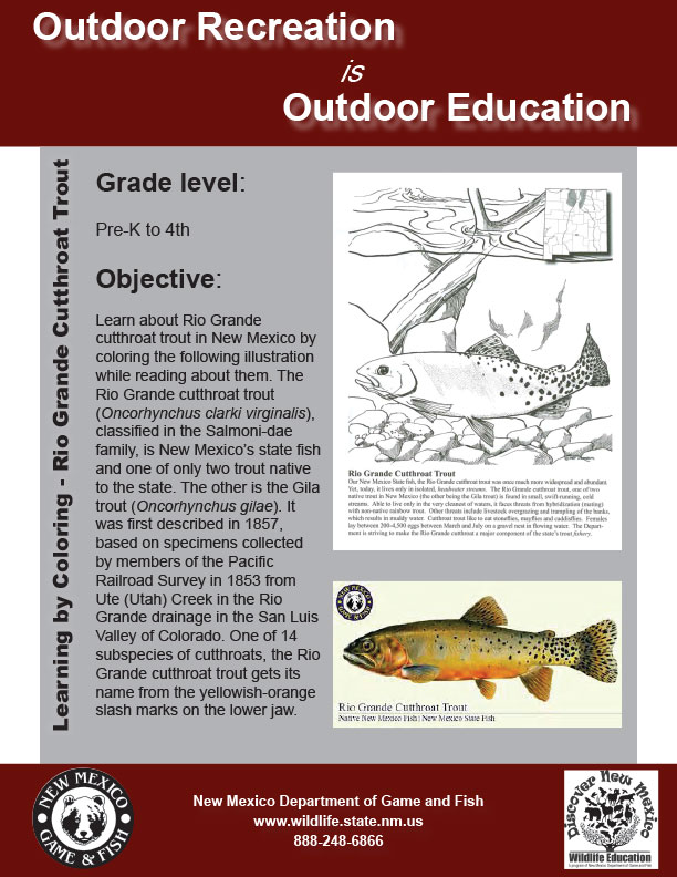 Learning by Coloring: developed by New Mexico Department of Game and Fish professional educators, biologists and game wardens.