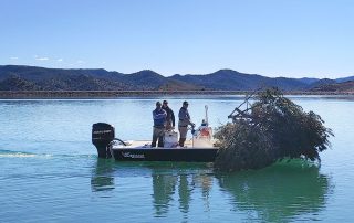 Mako hauling tree rings.