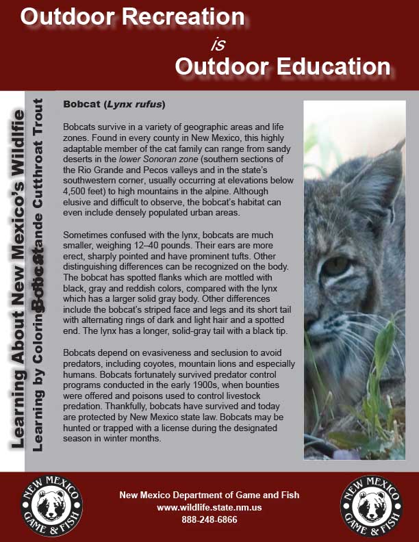 Learning About New Mexico Wildlife: developed by New Mexico Department of Game and Fish professional educators, biologists and game wardens.