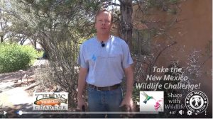 Engaging Students in Studying Wildlife in the Face of COVID-19, New Mexico Department of Game and Fish