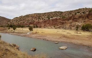 Habitat rocks and new flood plain area ready for cottonwood tree planting