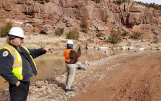 Inspecting a new gravel point bar