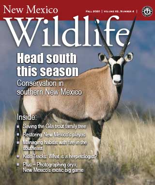 New Mexico Wildlife Magazine, Vol 62 Number 4 Fall 2020