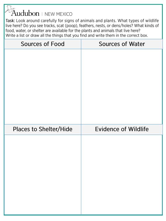Share with Wildlife Project Highlight: Delivering Wildlife-Focused Education Virtually