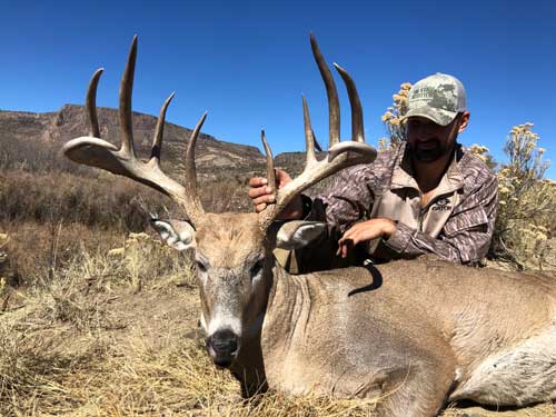 Largest Mule Deer In The World