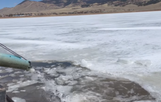 Department staff stocking catchable sized Rainbow Trout through the ice at Eagle Nest Lake in spring of 2022. (Video by Mike Ruhl, can be found here: https://www.facebook.com/nmdgf/videos/365065272217015/).