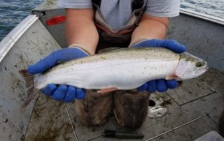 The goal of our research at Eagle Nest Lake was to learn how to best manage the Rainbow Trout fishery since the illegal introduction of predatory Northern Pike.