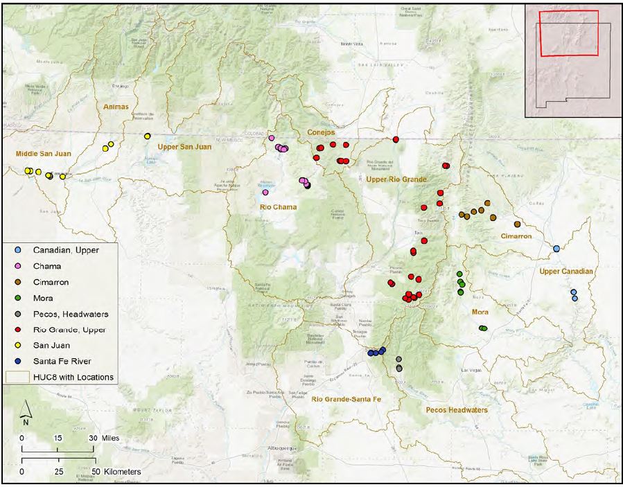 Share with Wildlife Project Highlight NMDGF: Do Mink Still Occur in New Mexico?